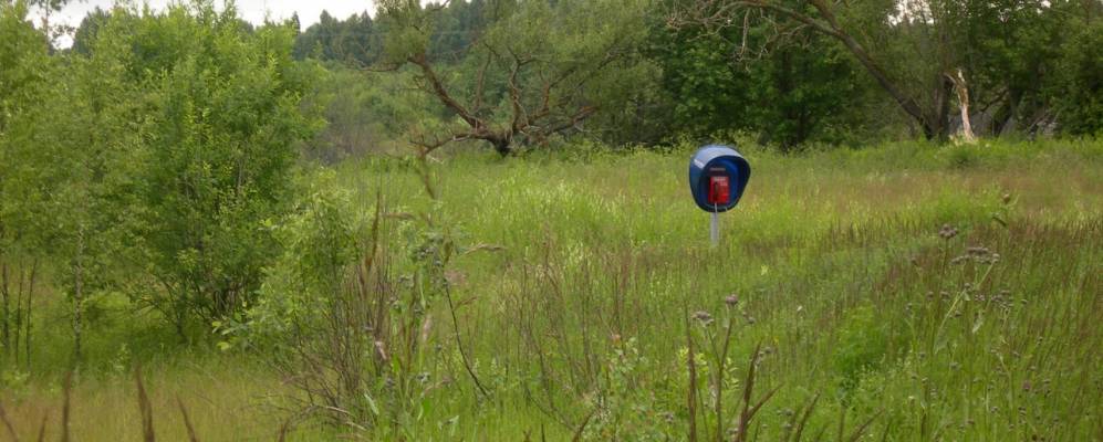 
            Фотография Шанихи