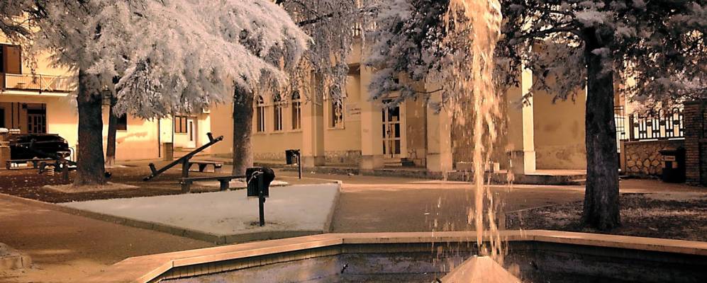 
            Фотография Казакандителлы