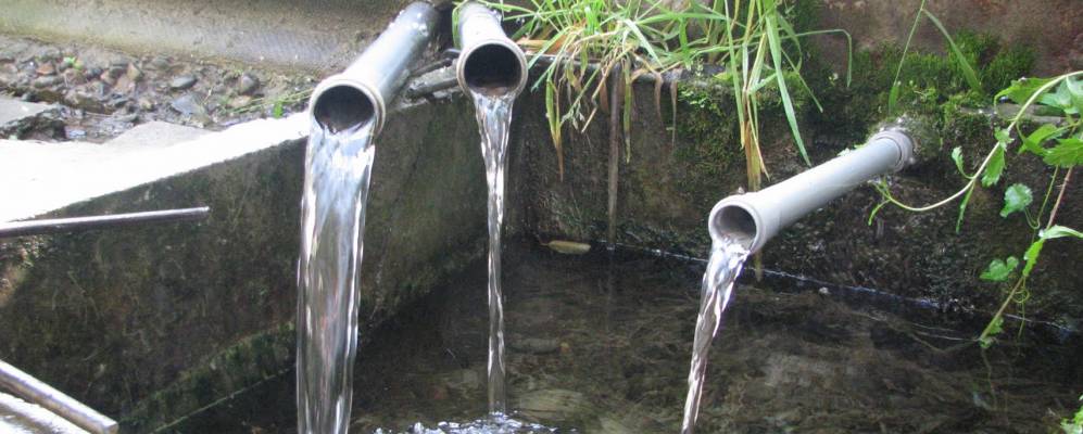 
            Фотография хутора Ленина