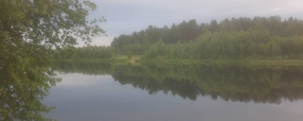 
            Фотография Серково