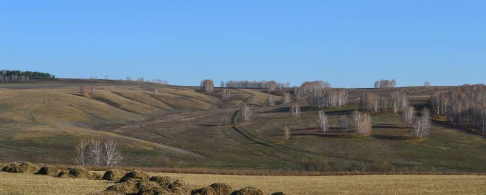 
            Фотография Мишаровки