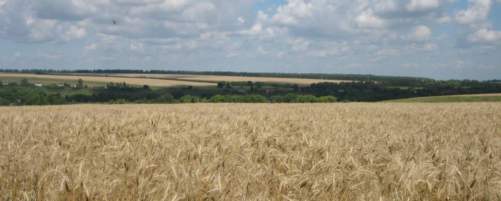 
            Фотография Пятиловки