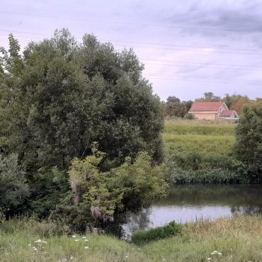 Новомихайловское