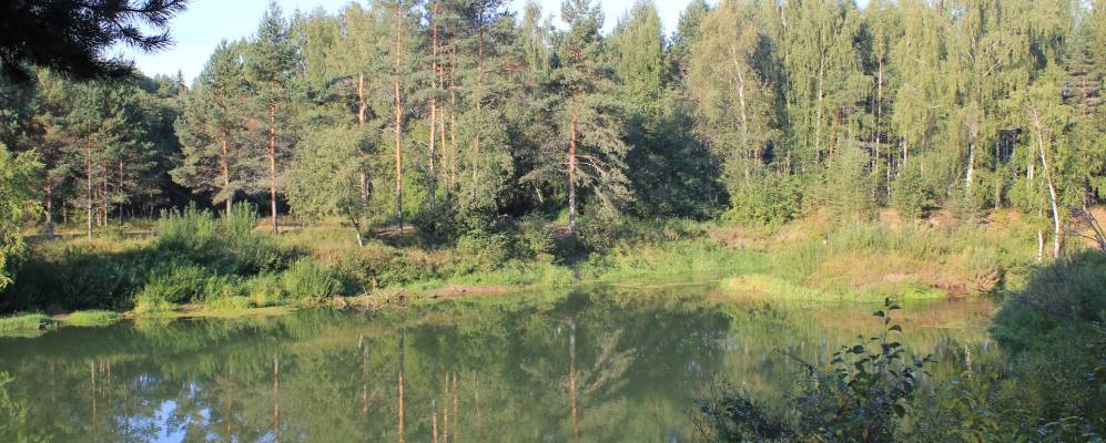 Фотография Митенькино