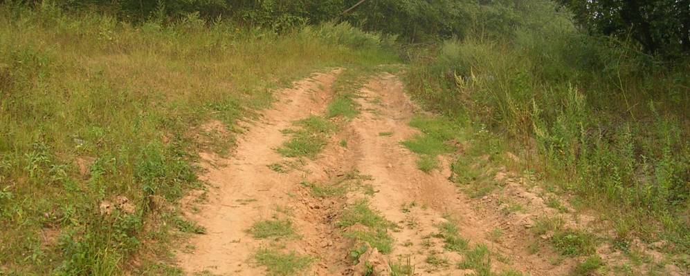 
            Фотография Починок-Болотово