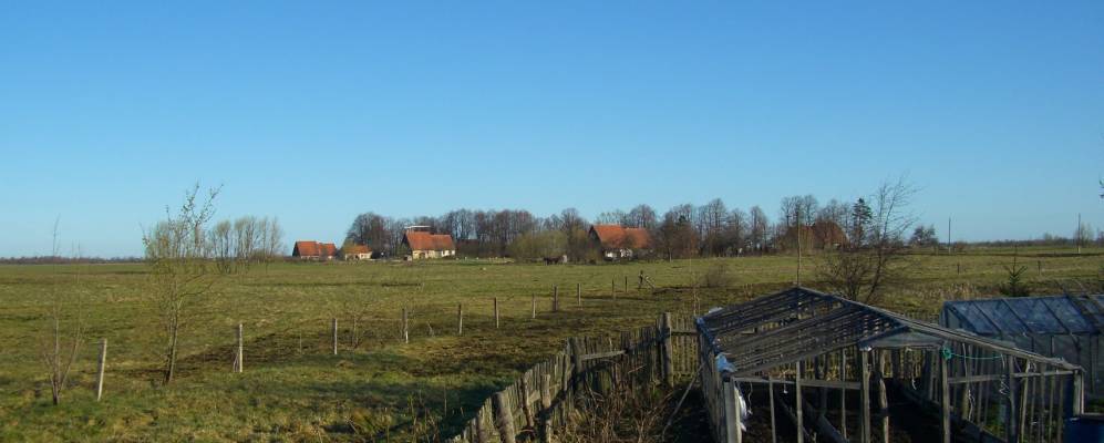 
            Фотография Разино