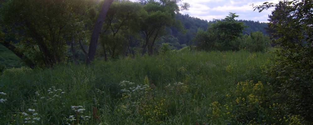 
            Фотография Коптево