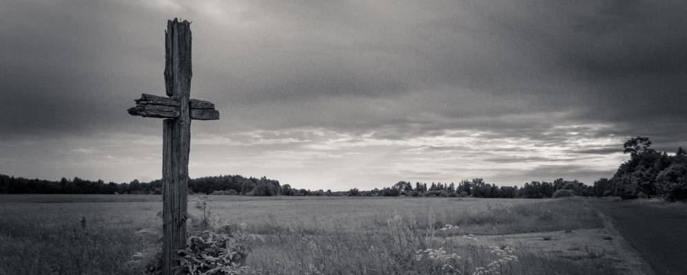 
            Фотография Заречного