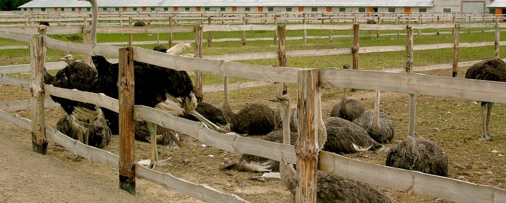 
            Фотография деревни Именины