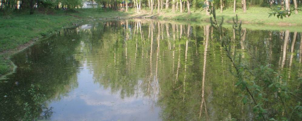 
            Фотография Суровцева