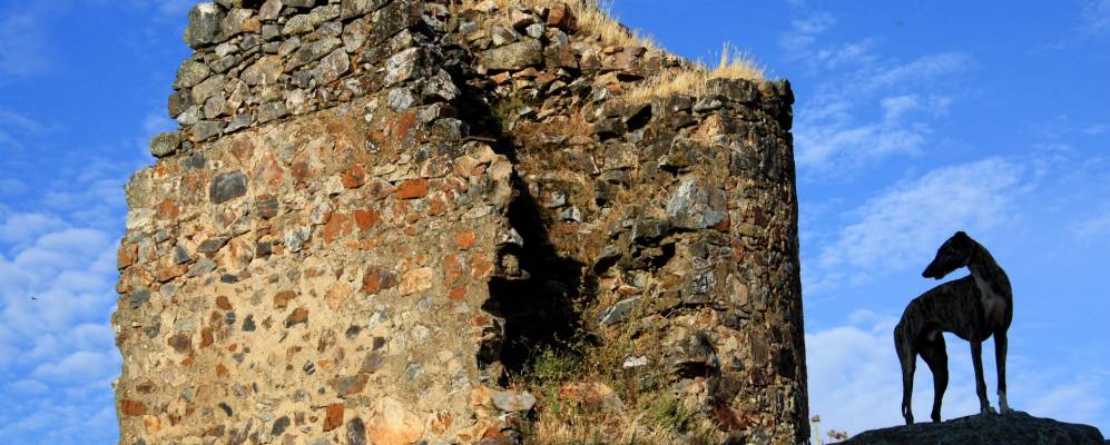 
            Фотография Магасела