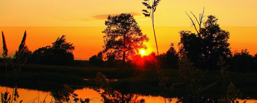 
            Фотография Иркино