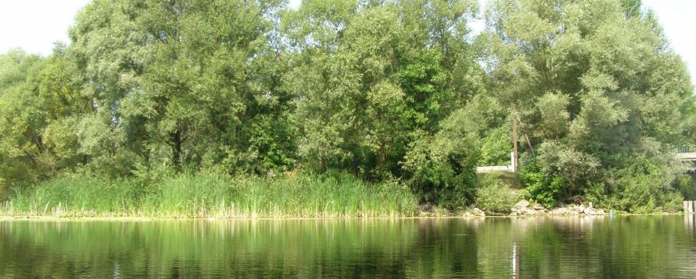 
            Фотография Розбишевки