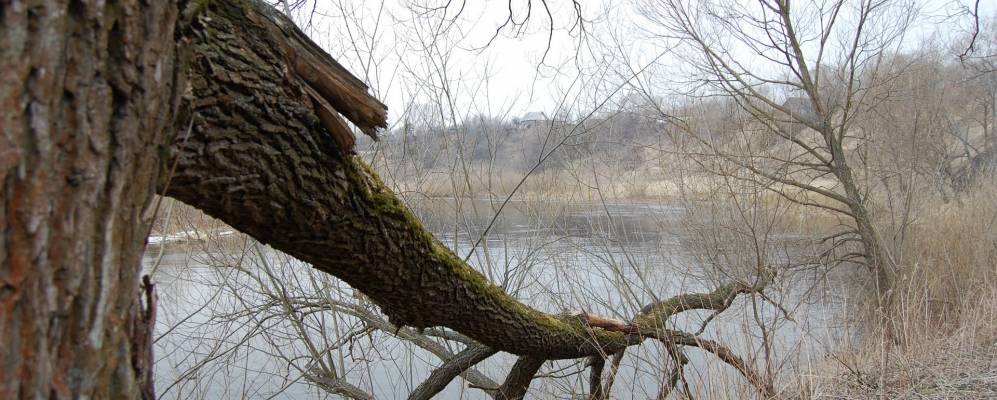 
            Фотография Рыканово