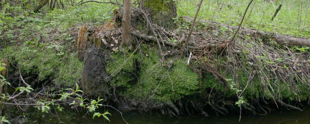 
            Фотография Малой Козловки