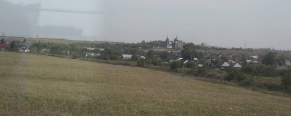 
            Фотография Рощи