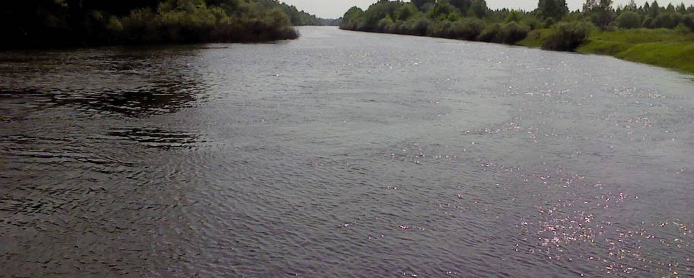 
            Фотография Бобровo