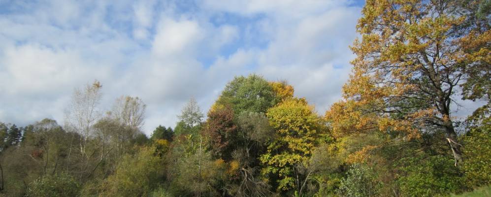 Фотография Быцево