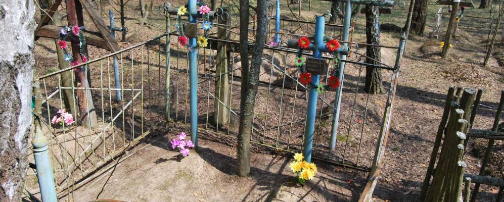 
            Фотография Шелковского