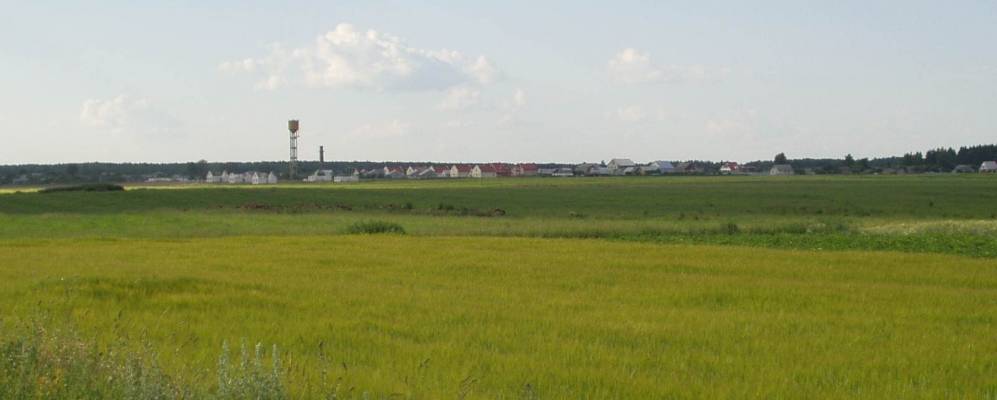 
            Фотография Яловки