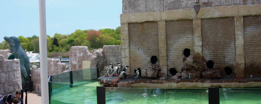 
            Фотография Риверхеда