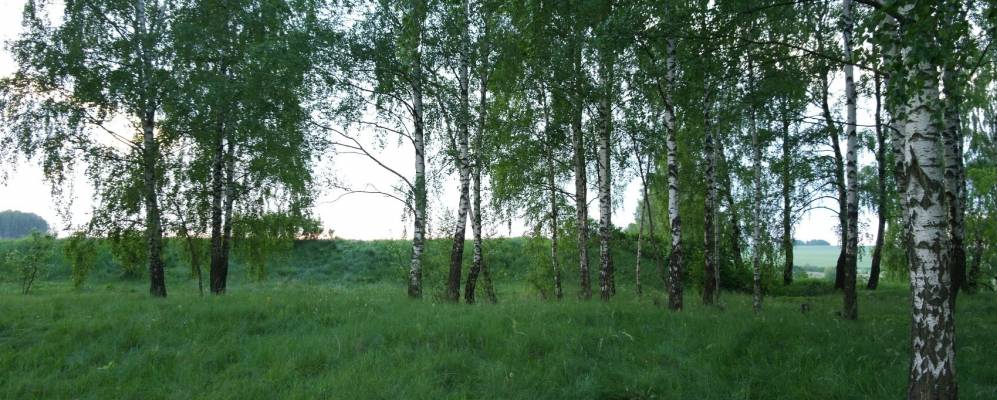 
            Фотография деревни Лебежаны