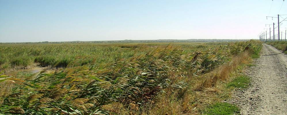 
            Фотография Мило-Яковлевки