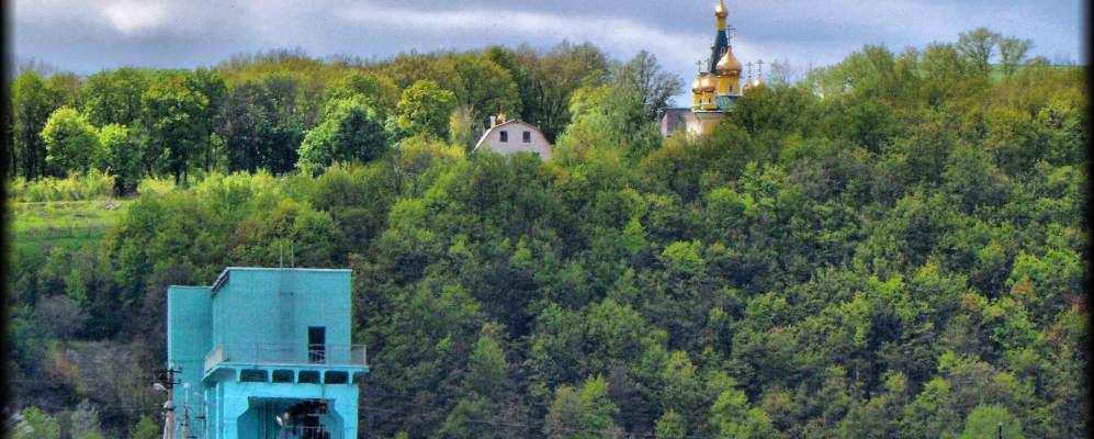 Фотография Щетинки