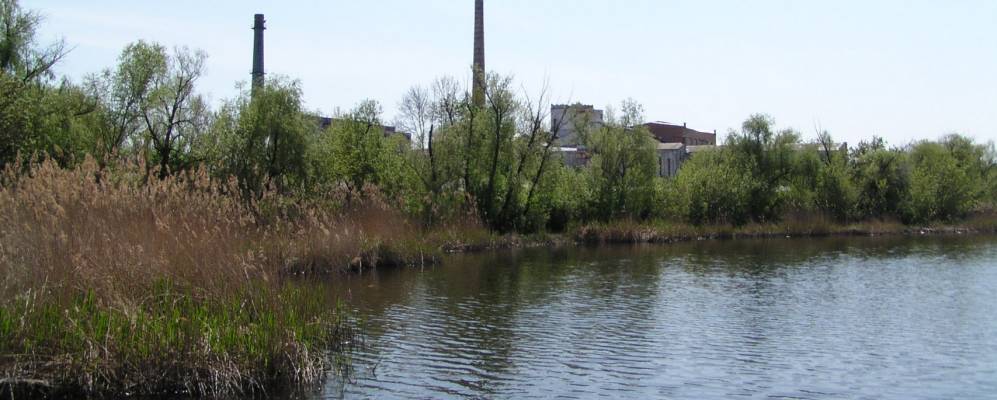 
            Фотография Казачан