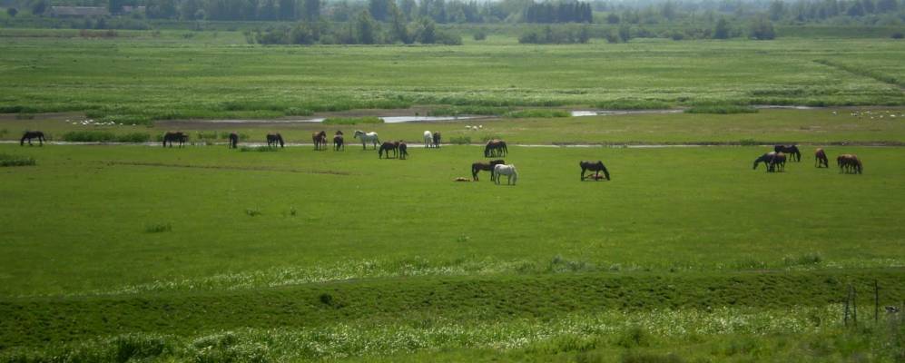 
            Фотография Нижнего
