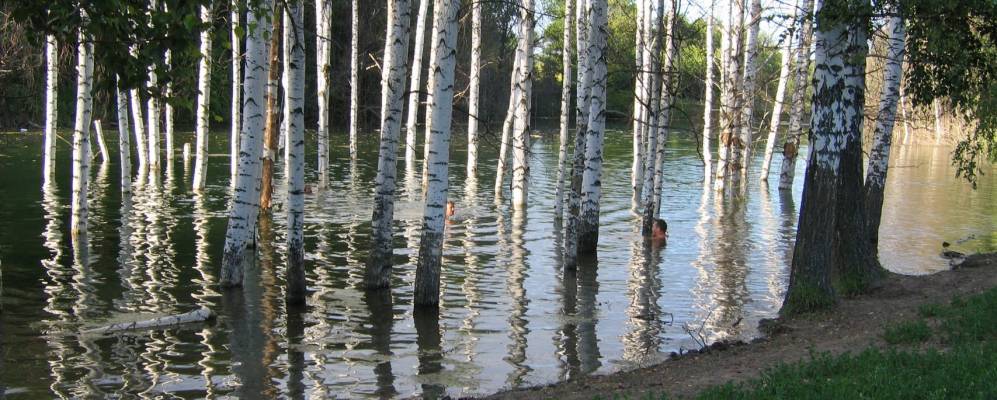 
            Фотография Покровки