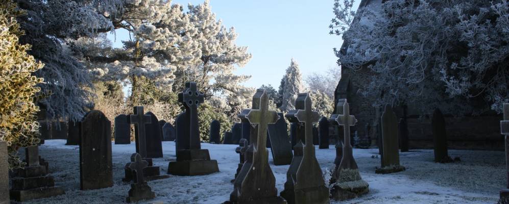 
            Фотография Ибстока