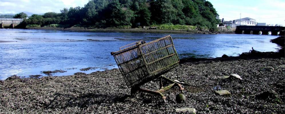 
            Фотография Портмадога