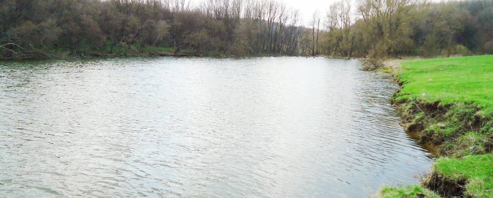 
            Фотография села Мартынцы