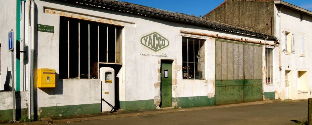 
            Фотография Мугона