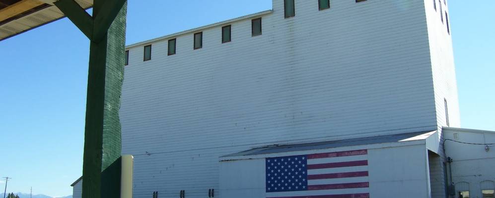 
            Фотография Белгрейд