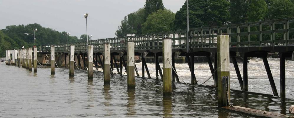 
            Фотография Туикенема