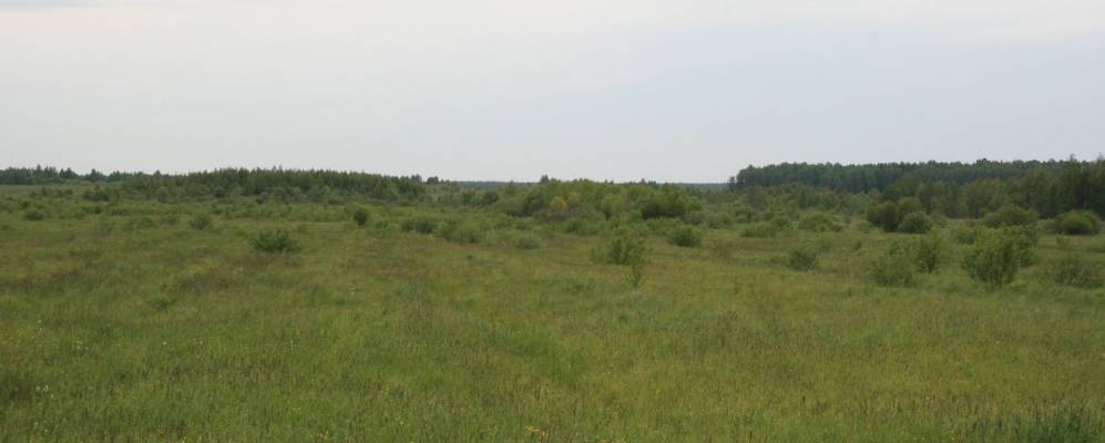 
            Фотография Моксихи