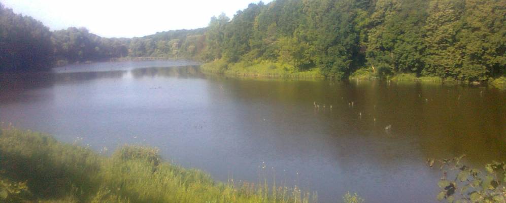 
            Фотография Рогозного