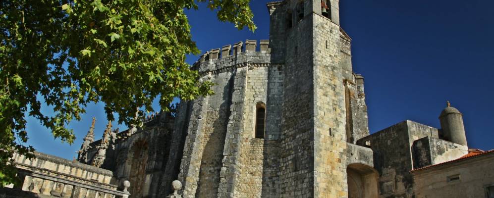 
            Фотография Томара