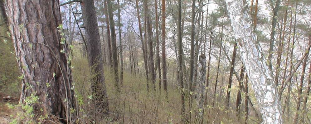 
            Фотография Горячкино