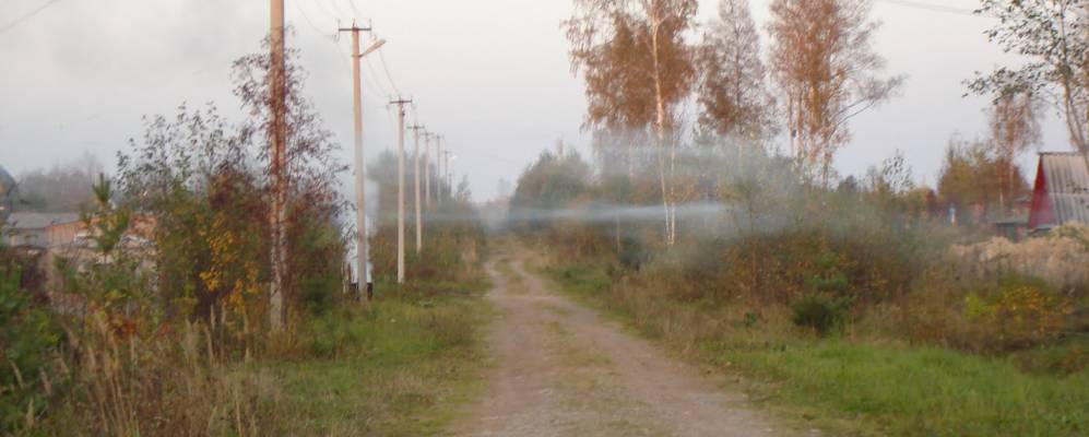 
            Фотография Славянки