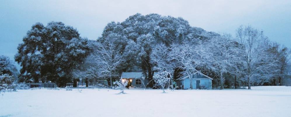 
            Фотография Элвина