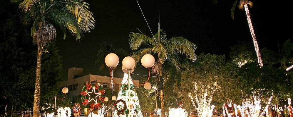 Фотография Пальосы