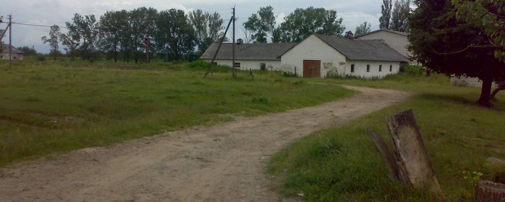 
            Фотография Ливчиц