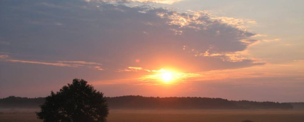 
            Фотография Розальмово