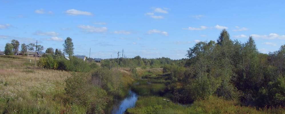 
            Фотография Дорки