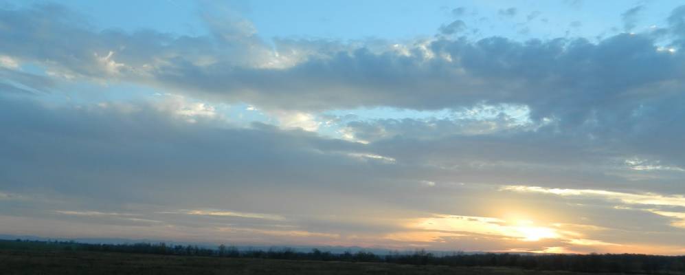 
            Фотография Нежухова