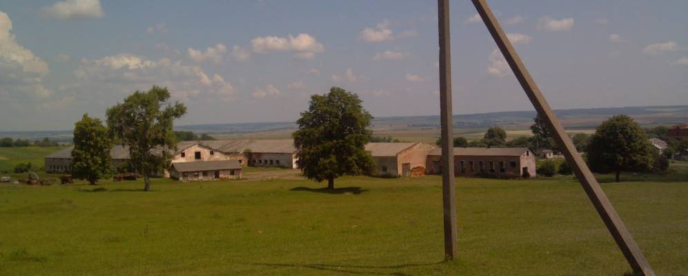 
            Фотография Добряничей