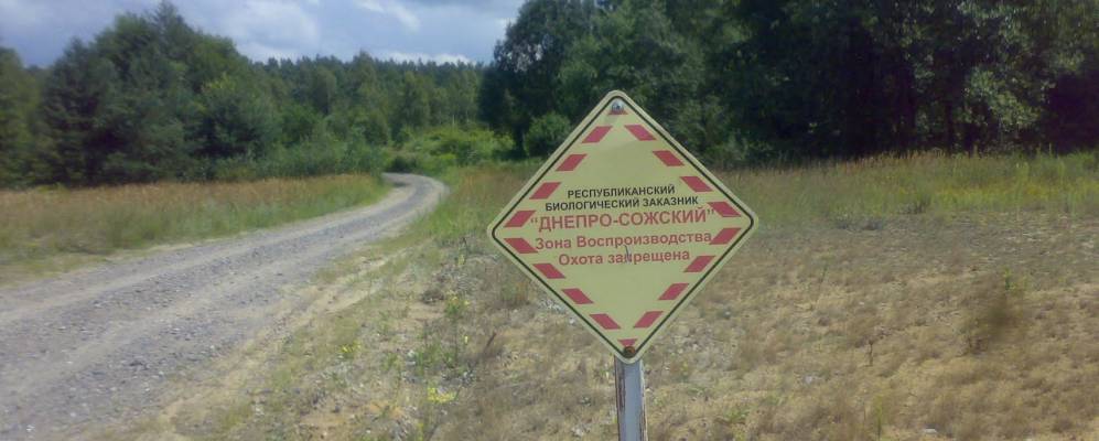 
            Фотография Рудни Каменевы